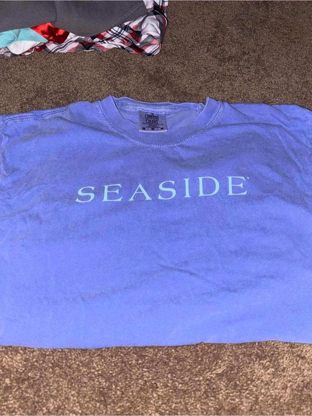 SEASIDE Logo Crewneck T‑Shirt in Purple blue color
